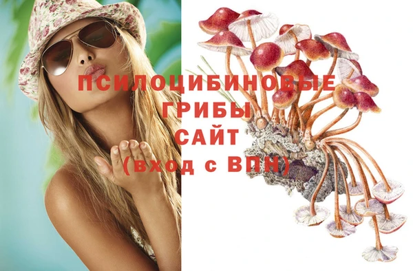 ешки Пестово