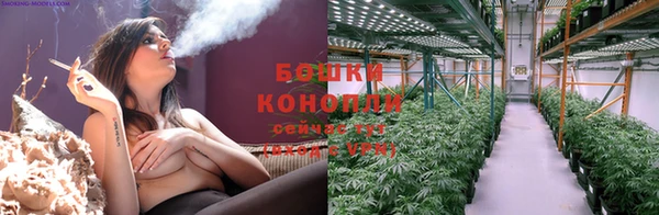 ешки Пестово