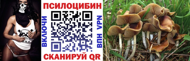 Псилоцибиновые грибы мицелий  Белоярский 